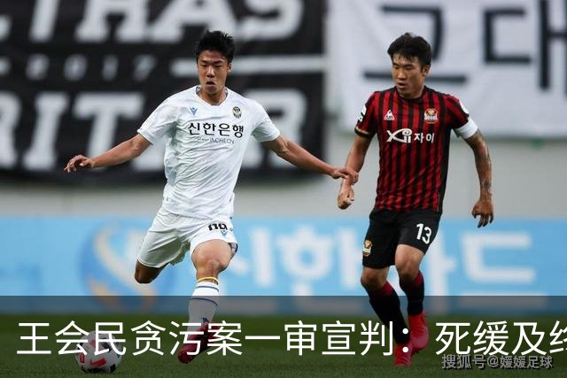 王会民贪污案一审宣判：死缓及终身监禁的严厉制裁